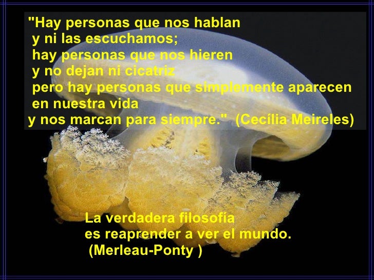 pensamientos inolvidables pensamientos inolvidables