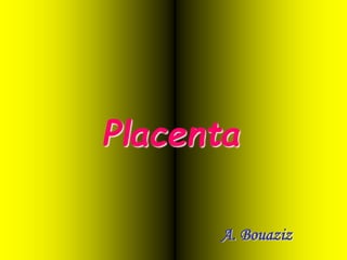 Placenta
A. Bouaziz
 