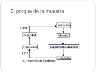 El porque de la muestra 