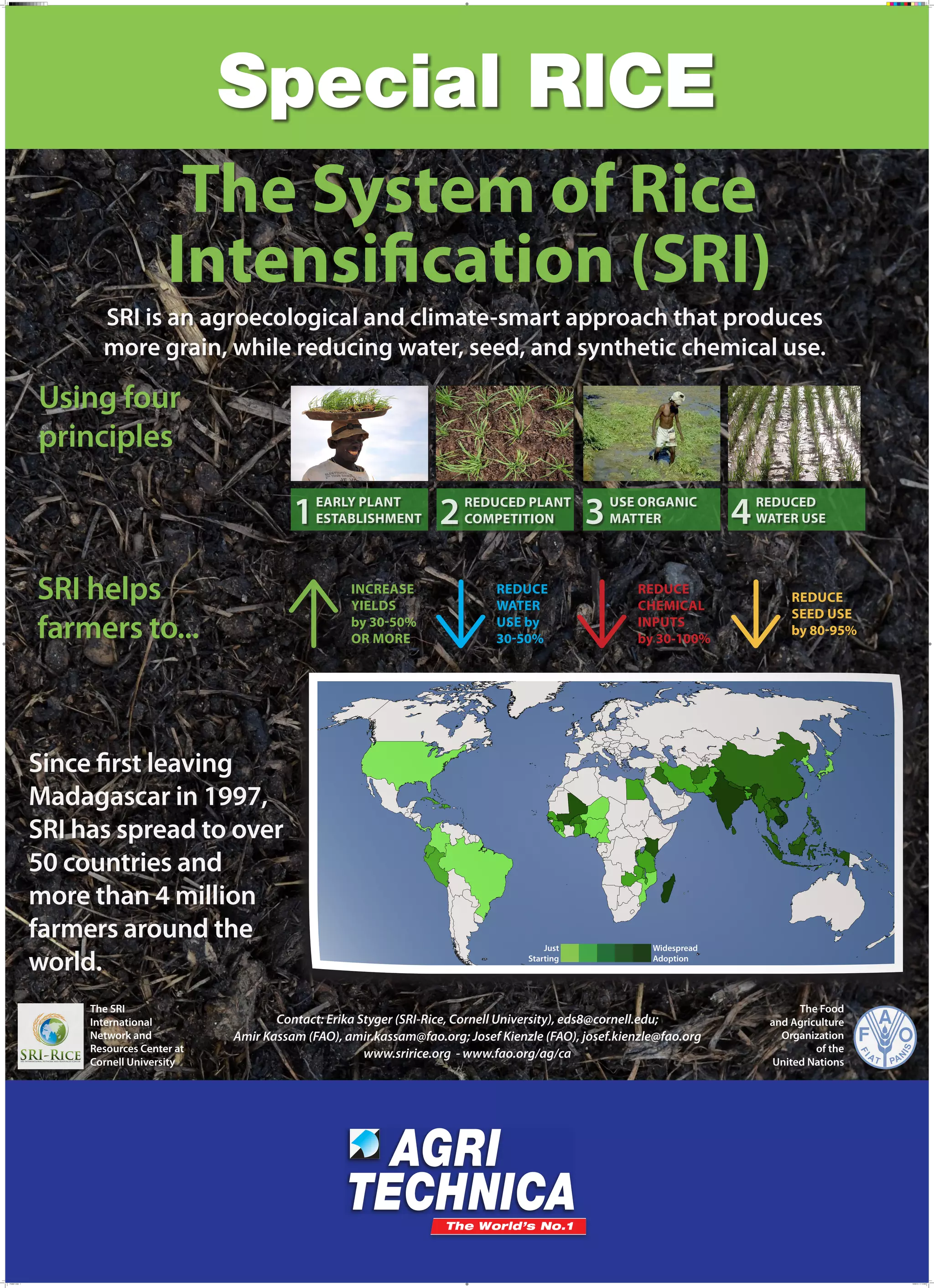 The System of Rice
Intensification (SRI)
SRI is an agroecological and climate-smart approach that produces
more grain, while reducing water, seed, and synthetic chemical use.
Using four
principles
1
SRI helps
farmers to...
Increase
yields
by 30-50%
or more
Since first leaving
Madagascar in 1997,
SRI has spread to over
50 countries and
more than 4 million
farmers around the
world.
The SRI
International
Network and
Resources Center at
Cornell University
Poster 1.indd 1
Early plant
establishment
2
REDUCEd plant
COMPETITION
reduce
water
use by
30-50%
Just
Starting
3
USE Organic
Matter
reduce
Chemical
inputs
by 30-100%
4
REDUCED
WATER USE
reduce
seed use
by 80-95%
Widespread
Adoption
Contact: Erika Styger (SRI-Rice, Cornell University), eds8@cornell.edu;
Amir Kassam (FAO), amir.kassam@fao.org; Josef Kienzle (FAO), josef.kienzle@fao.org
www.sririce.org - www.fao.org/ag/ca
The Food
and Agriculture
Organization
of the
United Nations
10/30/13 11:12 AM