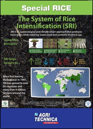 The System of Rice
Intensification (SRI)
SRI is an agroecological and climate-smart approach that produces
more grain, while reducing water, seed, and synthetic chemical use.

Using four
principles

1
SRI helps
farmers to...

Increase
yields
by 30-50%
or more

Since first leaving
Madagascar in 1997,
SRI has spread to over
50 countries and
more than 4 million
farmers around the
world.
The SRI
International
Network and
Resources Center at
Cornell University

Poster 1.indd 1

Early plant
establishment

2

REDUCEd plant
COMPETITION

reduce
water
use by
30-50%

Just
Starting

3

USE Organic
Matter

reduce
Chemical
inputs
by 30-100%

4

REDUCED
WATER USE

reduce
seed use
by 80-95%

Widespread
Adoption

Contact: Erika Styger (SRI-Rice, Cornell University), eds8@cornell.edu;
Amir Kassam (FAO), amir.kassam@fao.org; Josef Kienzle (FAO), josef.kienzle@fao.org
www.sririce.org - www.fao.org/ag/ca

The Food
and Agriculture
Organization
of the
United Nations

10/30/13 11:12 AM

 