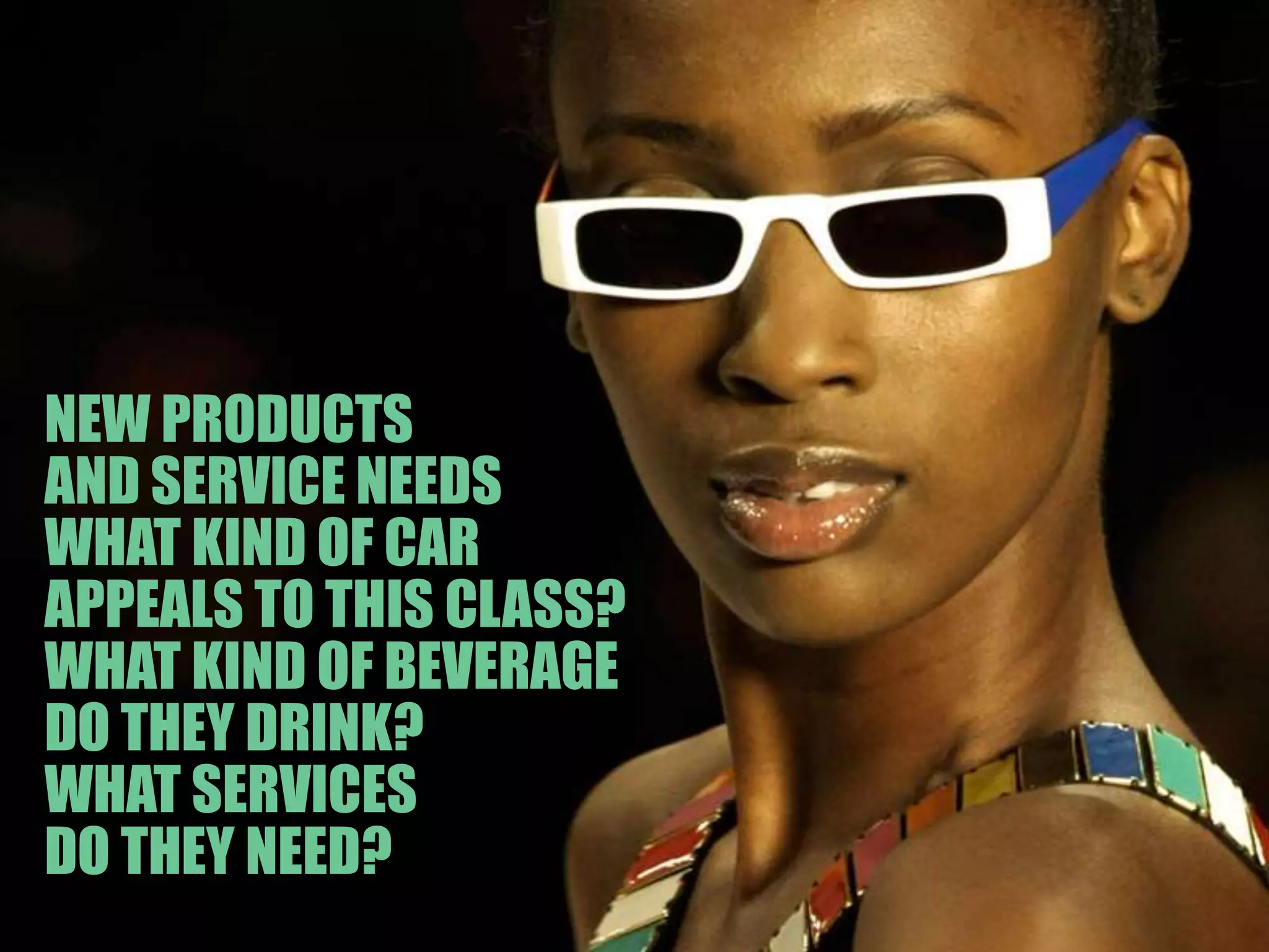 NEW PRODUCTSAND SERVICE NEEDSWHAT KIND OF CARAPPEALS TO THIS CLASS?WHAT KIND OF BEVERAGEDO THEY DRINK?WHAT SERVICESDO THEY NEED?