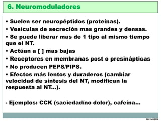 6. Neuromoduladores

• Suelen ser neuropéptidos (proteínas).
• Vesículas de secreción mas grandes y densas.
• Se puede lib...