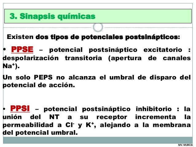 9 Ppse Y Ppsi