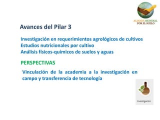 Avances del Pilar 3
Investigación en requerimientos agrológicos de cultivos
Estudios nutricionales por cultivo
Análisis físicos-químicos de suelos y aguas
PERSPECTIVAS
Vinculación de la academia a la investigación en
campo y transferencia de tecnología
 