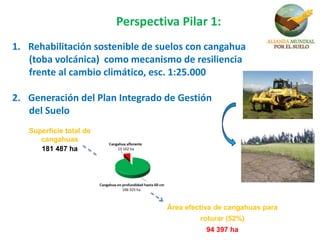 1. Rehabilitación sostenible de suelos con cangahua
(toba volcánica) como mecanismo de resiliencia
frente al cambio climático, esc. 1:25.000
2. Generación del Plan Integrado de Gestión
del Suelo
Perspectiva Pilar 1:
Superficie total de
cangahuas
181 487 ha
Área efectiva de cangahuas para
roturar (52%)
94 397 ha
 