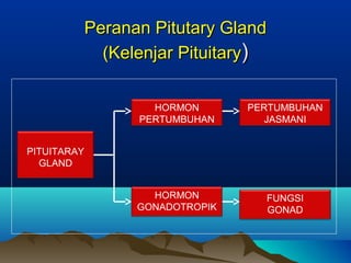 Peranan Pitutary GlandPeranan Pitutary Gland
(Kelenjar Pituitary(Kelenjar Pituitary))
PITUITARAY
GLAND
HORMON
GONADOTROPIK
HORMON
PERTUMBUHAN
FUNGSI
GONAD
PERTUMBUHAN
JASMANI
 