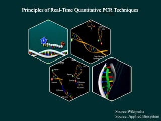  REAL TIME PCR  .pptx