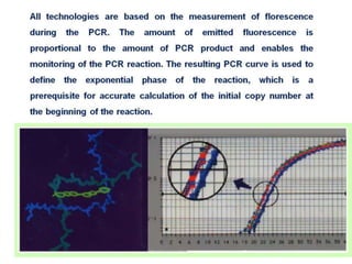  REAL TIME PCR  .pptx