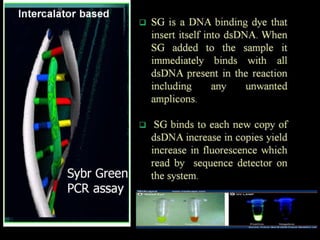  REAL TIME PCR  .pptx