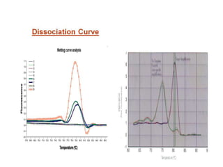  REAL TIME PCR  .pptx