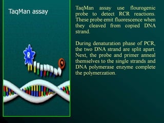  REAL TIME PCR  .pptx