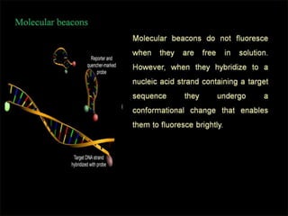  REAL TIME PCR  .pptx