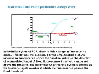  REAL TIME PCR  .pptx