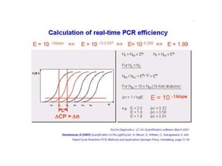  REAL TIME PCR  .pptx