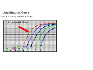  REAL TIME PCR  .pptx