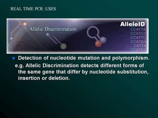  REAL TIME PCR  .pptx
