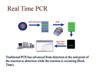  REAL TIME PCR  .pptx