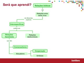 Relaç ões  bióticas Relações entre seres vivos Interespecíficas Relações favoráveis Relações desfavoráveis Comensalismo Mutualismo Cooperação Simbiose Será que aprendi? são de diferentes espécies podem ser que são 