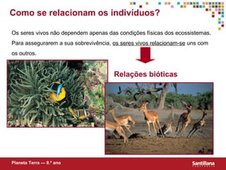 Os seres vivos não dependem apenas das condições físicas dos ecossistemas. Para assegurarem a sua sobrevivência,  os seres vivos relacionam-se  uns com os outros. Como se relacionam os indivíduos? Relações bióticas Planeta Terra — 8.º ano 