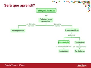 Relações bióticas Relações entre seres vivos Interespecíficas Intra-específicas Competição Cooperação Canibalismo Sociedades Será que aprendi? Planeta Terra — 8.º ano são de diferentes espécies da mesma espécie podem ser em casos extremos é mais sofisticada nas 