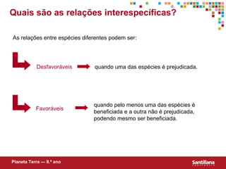 Quais são as relações interespecíficas? As relações entre espécies diferentes podem ser: quando uma das espécies é prejudicada. quando pelo menos uma das espécies é beneficiada e a outra não é prejudicada, podendo mesmo ser beneficiada. Planeta Terra — 8.º ano Desfavoráveis Favoráveis 