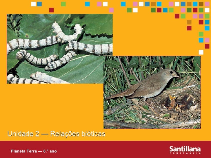 Unidade 2 — Relações bióticas Planeta Terra — 8.º ano 