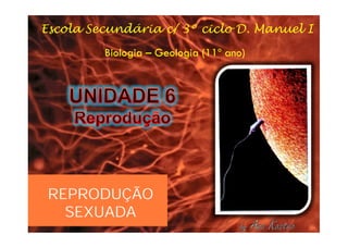 REPRODUÇÃO
  SEXUADA
 