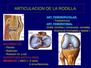ARTICULACION DE LA RODILLA  ART. FEMOROPATELAR: - Trocleartrosis ART. FEMOROTIBIAL - Doble condílea ( compuesta, compleja bicameral incompleta y biaxial )  MOVIMIENTOS : - Flexión  - Extensión  - Rotación int. y ext.  SUPERFICIES ARTICULARES MENISCOS   ( OECI ) : 2 caras  2 circunferencias 