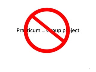 The CS Practicum Experience