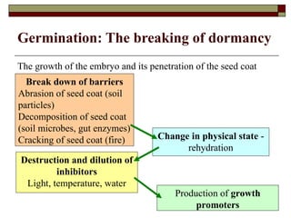 9-Seed New curriculum project Germination.ppt