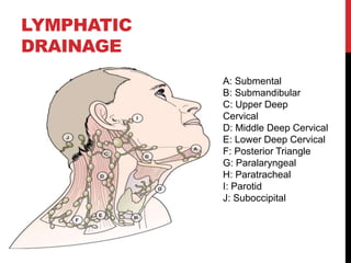 SELECTIVE NECK DISSECTION | PPTX