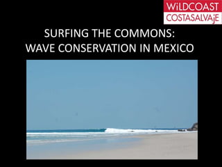 SAV
SURFING THE COMMONS:
WAVE CONSERVATION IN MEXICO
 
