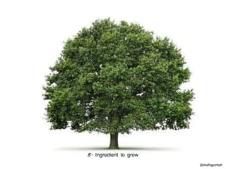 @shafiqpontoh 8. Ingredient to grow 