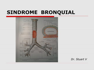 SINDROME BRONQUIAL
Dr. Stuart V
 