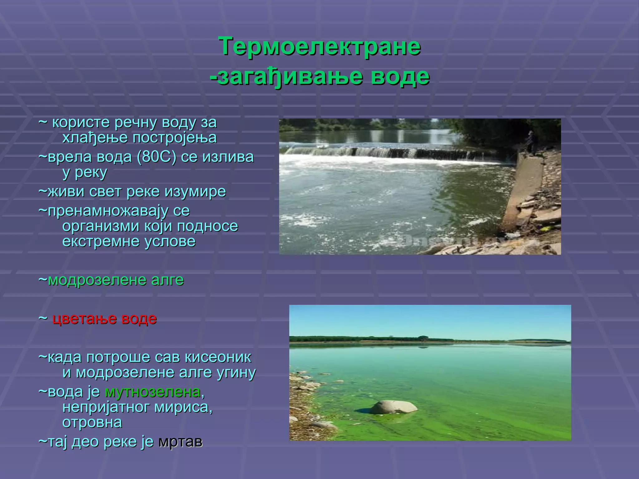 Термоелектране -загађивање   воде ~ користе речну воду за хлађење постројења ~врела вода (80С) се излива у реку ~живи свет реке изумире ~пренамножавају се организми који подносе екстремне услове ~ модрозелене алге ~  цветање воде ~када потроше сав кисеоник и модрозелене алге угину ~вода је  мутнозелена , непријатног мириса, отровна ~тај део реке је  мртав 