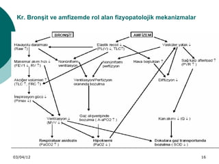 Kr. Bronşit ve amfizemde rol alan fizyopatolojik mekanizmalar




03/04/12                                                         16
 