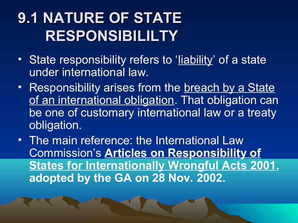 essay on state responsibility