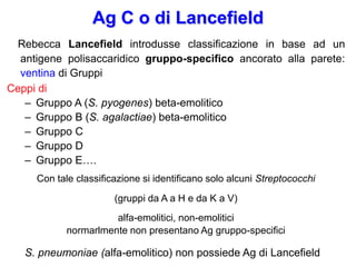 Ag C o di Lancefield
  Rebecca Lancefield introdusse classificazione in base ad un
  antigene polisaccaridico gruppo-specifico ancorato alla parete:
  ventina di Gruppi
Ceppi di
   – Gruppo A (S. pyogenes) beta-emolitico
   – Gruppo B (S. agalactiae) beta-emolitico
   – Gruppo C
   – Gruppo D
   – Gruppo E….
     Con tale classificazione si identificano solo alcuni Streptococchi
                       (gruppi da A a H e da K a V)
                      alfa-emolitici, non-emolitici
            normarlmente non presentano Ag gruppo-specifici

   S. pneumoniae (alfa-emolitico) non possiede Ag di Lancefield
 