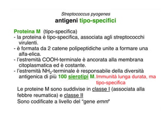 Immunità lunga durata, ma
tipo-specifica
 
