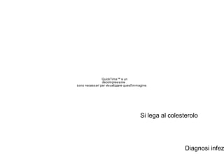 QuickTime™ e un
                decompressore
sono necessari per visualizzare quest'immagine.




                                          Si lega al colesterolo




                                                           Diagnosi infez
 