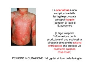 La scarlattina è una
                                  complicanza della
                                faringite provocata
                                  da ceppi lisogeni
                                 (portatori di fagi) di
                                    S. pyogenes

                                    (il fago trasporta
                                 l’informazione per la
                           produzione di una esotossina
                           pirogena detta anche tossina
                            eritrogenica che provoca un
                                   esantema cutaneo
                                        rosa-rosso)

PERIODO INCUBAZIONE: 1-2 gg dai sintomi della faringite
 