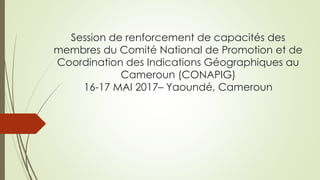 Session de renforcement de capacités des
membres du Comité National de Promotion et de
Coordination des Indications Géographiques au
Cameroun (CONAPIG)
16-17 MAI 2017– Yaoundé, Cameroun
 