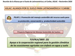 ASLAC: ALIANZA POR EL SUELO PARA LATINOAMÉRICA Y CARIBE
TCP/RLA/3805 (D)
Apoyo a la cooperación regional para la gestión climática
de los ecosistemas agrícolas con énfasis en agua y suelo
Reunión de la Alianza por el Suelo de Latinoamérica y el Caribe, ASLAC – Noviembre 2020
Proyecto Regional de Manejo Sostenible de Suelos:
PILAR 1: Promoción del manejo sostenible del recurso suelo para
su protección, conservación y productividad sostenible
 