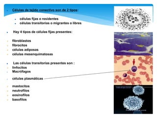  Células de tejido conectivo son de 2 tipos:
 células fijas o residentes
 células transitorias o migrantes o libres
 Hay 4 tipos de células fijas presentes:
 fibroblastos
 fibrocitos
 células adiposas
 células mesenquimatosas
 Las células transitorias presentes son :
 linfocitos
 Macrófagos
 células plasmáticas
 mastocitos
 neutrofilos
 eosinofilos
 basofilos
 