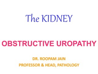 The KIDNEY
OBSTRUCTIVE UROPATHY
DR. ROOPAM JAIN
PROFESSOR & HEAD, PATHOLOGY
 