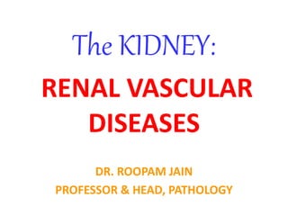 The KIDNEY:
RENAL VASCULAR
DISEASES
DR. ROOPAM JAIN
PROFESSOR & HEAD, PATHOLOGY
 