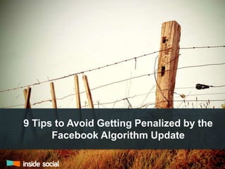 9 Tips to Avoid Getting Penalized by the 
Facebook Algorithm Update 
 