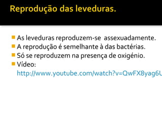  As leveduras reproduzem-se assexuadamente.
 A reprodução é semelhante à das bactérias.
 Só se reproduzem na presença de oxigénio.
 Vídeo:
http://www.youtube.com/watch?v=QwFX8yag6U
 