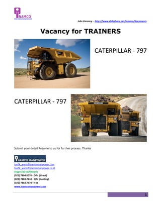 Oct - Trainers Cat-793, Cat-797